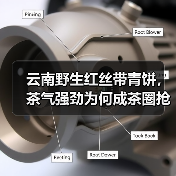 云南野生红丝带青饼,茶气强劲为何成茶圈抢手货?(图2) 云南野生红丝带青饼,茶气强劲为何成茶圈抢手货?(图2)