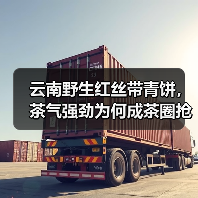 云南野生红丝带青饼,茶气强劲为何成茶圈抢手货?(图3) 云南野生红丝带青饼,茶气强劲为何成茶圈抢手货?(图3)