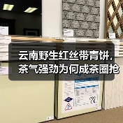 云南野生红丝带青饼,茶气强劲为何成茶圈抢手货?(图4) 云南野生红丝带青饼,茶气强劲为何成茶圈抢手货?(图4)