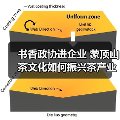 书香政协进企业 蒙顶山茶文化如何振兴茶产业?(图2) 书香政协进企业 蒙顶山茶文化如何振兴茶产业?(图2)