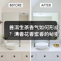 普洱生茶香气如何形成?清香花香蜜香的秘密解析(图3) 普洱生茶香气如何形成?清香花香蜜香的秘密解析(图3)