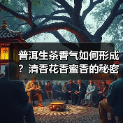 普洱生茶香气如何形成?清香花香蜜香的秘密解析(图4) 普洱生茶香气如何形成?清香花香蜜香的秘密解析(图4)