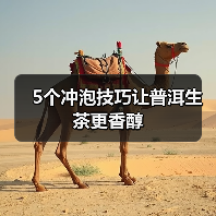 5个冲泡技巧让普洱生茶更香醇(图3) 5个冲泡技巧让普洱生茶更香醇(图3)