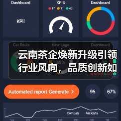 云南茶企焕新升级引领行业风向,品质创新如何重塑茶界?(图3) 云南茶企焕新升级引领行业风向,品质创新如何重塑茶界?(图3)