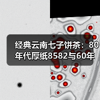 经典云南七子饼茶:80年代厚纸8582与60年代八中黄印哪个更胜一筹?(图4) 经典云南七子饼茶:80年代厚纸8582与60年代八中黄印哪个更胜一筹?(图4)