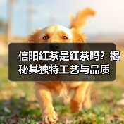信阳红茶是红茶吗?揭秘其独特工艺与品质(图1) 信阳红茶是红茶吗?揭秘其独特工艺与品质(图1)