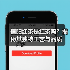 信阳红茶是红茶吗?揭秘其独特工艺与品质(图4) 信阳红茶是红茶吗?揭秘其独特工艺与品质(图4)