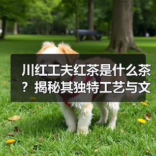 川红工夫红茶是什么茶?揭秘其独特工艺与文化魅力(图1) 川红工夫红茶是什么茶?揭秘其独特工艺与文化魅力(图1)