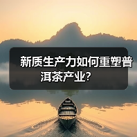 新质生产力如何重塑普洱茶产业？（图2）
