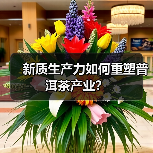 新质生产力如何重塑普洱茶产业？（图1）