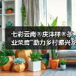 七彩云南®庆沣祥®茶业荣膺 七彩云南®庆沣祥®茶业荣膺
