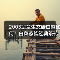 2003班章生态砖口感如何?白菜家族经典茶砖评测(图1) 2003班章生态砖口感如何?白菜家族经典茶砖评测(图1)