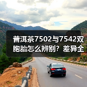 普洱茶7502与7542双胞胎怎么辨别?差异全解析(图3) 普洱茶7502与7542双胞胎怎么辨别?差异全解析(图3)