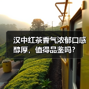 汉中红茶香气浓郁口感醇厚，值得品鉴吗？（图1）