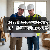 04双狮号原野香开箱实拍!勐海布朗山大树茶料烟香解析(图2) 04双狮号原野香开箱实拍!勐海布朗山大树茶料烟香解析(图2)