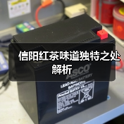 信阳红茶味道独特之处解析(图4) 信阳红茶味道独特之处解析(图4)