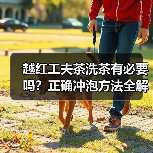 越红工夫茶洗茶有必要吗？正确冲泡方法全解析（图4）