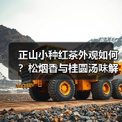 正山小种红茶外观如何？松烟香与桂圆汤味解析（图4）