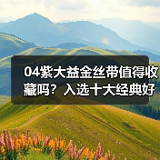04紫大益金丝带值得收藏吗?入选十大经典好茶深度解析(图4) 04紫大益金丝带值得收藏吗?入选十大经典好茶深度解析(图4)