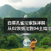 白菜孔雀沱家族详解:从02灰纸沱到04土鸡沱的茶香传奇(图2) 白菜孔雀沱家族详解:从02灰纸沱到04土鸡沱的茶香传奇(图2)