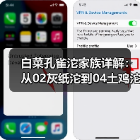 白菜孔雀沱家族详解:从02灰纸沱到04土鸡沱的茶香传奇(图4) 白菜孔雀沱家族详解:从02灰纸沱到04土鸡沱的茶香传奇(图4)