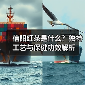 信阳红茶是什么?独特工艺与保健功效解析(图4) 信阳红茶是什么?独特工艺与保健功效解析(图4)