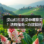 汉山红红茶汉中哪里买？选购指南+功效解析（图2）