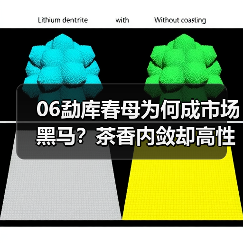 06勐库春母为何成市场黑马?茶香内敛却高性价比(图4) 06勐库春母为何成市场黑马?茶香内敛却高性价比(图4)