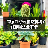龙泉红茶还能这样喝?创意喝法全解析(图1) 龙泉红茶还能这样喝?创意喝法全解析(图1)