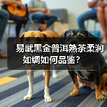 易武黑金普洱熟茶柔润如绸如何品鉴？（图4）