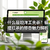什么是坦洋工夫茶?福建红茶的醇香魅力解析(图2) 什么是坦洋工夫茶?福建红茶的醇香魅力解析(图2)