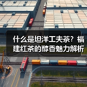 什么是坦洋工夫茶?福建红茶的醇香魅力解析(图3) 什么是坦洋工夫茶?福建红茶的醇香魅力解析(图3)