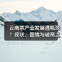 云南茶产业发展遇瓶颈？现状、困境与破局之道全解析（图3）