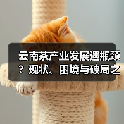 云南茶产业发展遇瓶颈？现状、困境与破局之道全解析（图4）