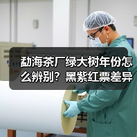 勐海茶厂绿大树年份怎么辨别？黑紫红票差异解析（图1）