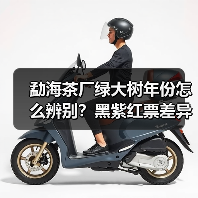 勐海茶厂绿大树年份怎么辨别？黑紫红票差异解析（图3）