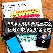 99绿大树黑票紫票怎么区分?收藏爱好者必看!(图2) 99绿大树黑票紫票怎么区分?收藏爱好者必看!(图2)