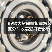 99绿大树黑票紫票怎么区分?收藏爱好者必看!(图4) 99绿大树黑票紫票怎么区分?收藏爱好者必看!(图4)