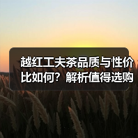 越红工夫茶品质与性价比如何?解析值得选购的理由(图1) 越红工夫茶品质与性价比如何?解析值得选购的理由(图1)