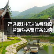 严选原料打造陈香醇厚，普洱熟茶紧压茶如何品鉴？（图2）