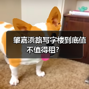 肇嘉浜路写字楼到底值不值得租？