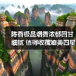 陈香极品烟香浓郁回甘细腻 值得收藏媲美四星孔雀（图1）