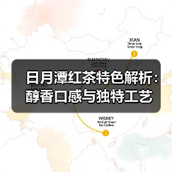 日月潭红茶特色解析：醇香口感与独特工艺（图3）