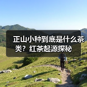 正山小种到底是什么茶类?红茶起源探秘(图1) 正山小种到底是什么茶类?红茶起源探秘(图1)