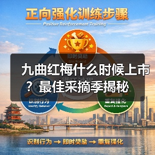 九曲红梅什么时候上市?最佳采摘季揭秘(图2) 九曲红梅什么时候上市?最佳采摘季揭秘(图2)