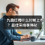 九曲红梅什么时候上市?最佳采摘季揭秘(图4) 九曲红梅什么时候上市?最佳采摘季揭秘(图4)