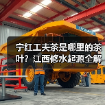 宁红工夫茶是哪里的茶叶？江西修水起源全解析（图2）