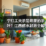 宁红工夫茶是哪里的茶叶？江西修水起源全解析（图3）