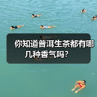 你知道普洱生茶都有哪几种香气吗？（图4）
