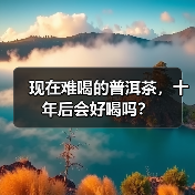 现在难喝的普洱茶，十年后会好喝吗？（图1）